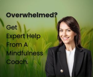 Fiverr Mindfulness Expert